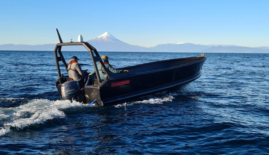 Bote Hdpe Endurance 7.1 Mts Sin Tubos
