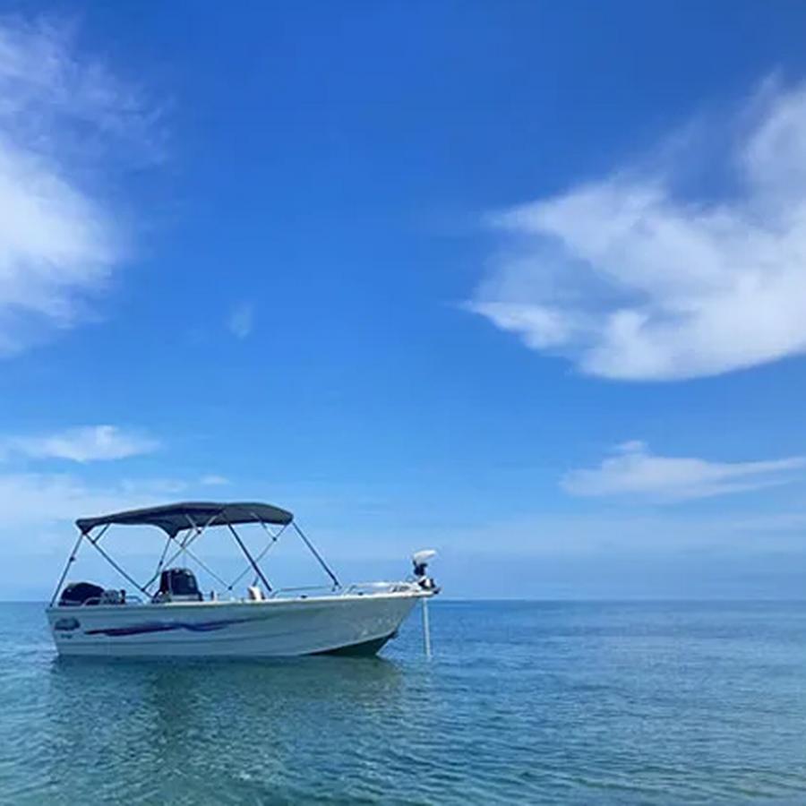 Toldo bimini 4 arcos 1.7-1.9M