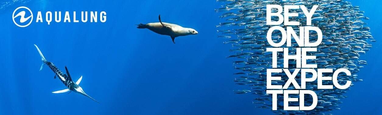 Hombre buceando con delfines con equipamiento aqualung